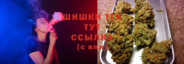 соль ск Козловка