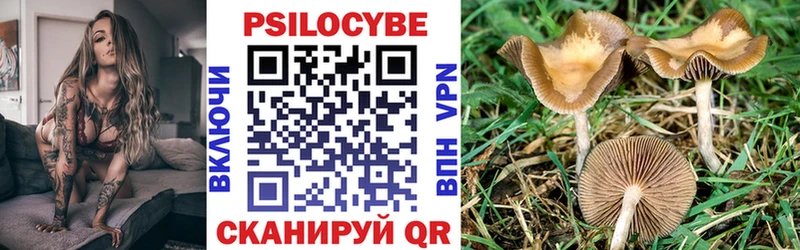 Галлюциногенные грибы Cubensis  Купить  Малаховка 